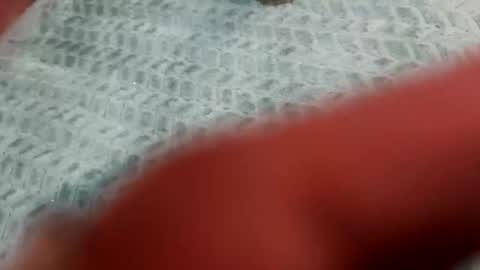 lust_4_daze online show from February 20, 2026, 12:49 pm