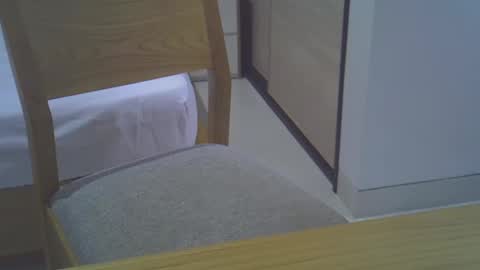 Snapshot of magicstick3003 chatting on December 30, 2024, 12:09 pm Eli online show from December 30, 2024, 12:09 pm