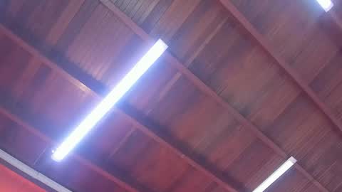 maria_turner1 online show from February 9, 2026, 12:20 pm