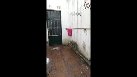 Snapshot of mature_boy77 chatting on February 3, 2026, 5:29 pm mature_boy77 online show from February 3, 2026, 5:29 pm