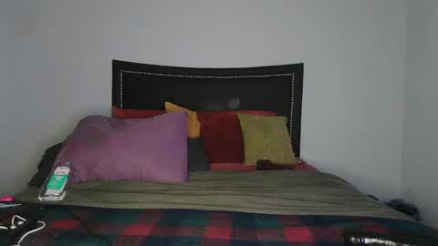 Snapshot of michelle32vandiver chatting on February 2, 2025, 12:24 pm carmen savaged online show from February 2, 2025, 12:24 pm