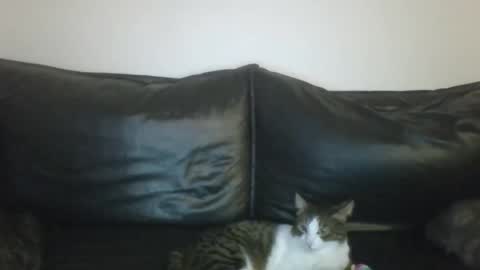 Snapshot of milagaborxx chatting on January 16, 2026, 7:18 pm MilaGabor online show from January 16, 2026, 7:18 pm