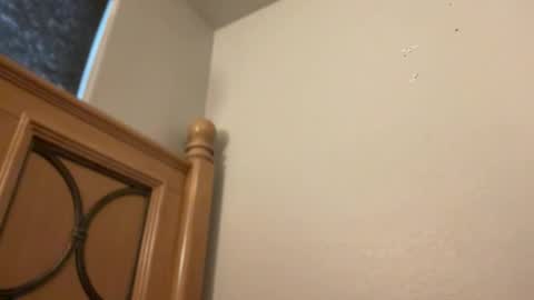 Snapshot of minnyminx chatting on February 11, 2026, 2:22 pm Minx online show from February 11, 2026, 2:22 pm