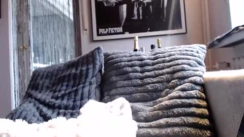 Snapshot of miracolix_030 chatting on February 10, 2026, 9:02 am Ben online show from February 10, 2026, 9:02 am