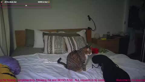 Snapshot of missemmbeex chatting on March 2, 2026, 8:59 pm missemmbeex online show from March 2, 2026, 8:59 pm