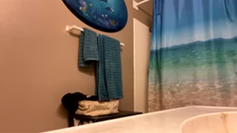 Snapshot of mrmeltyourheart chatting on February 3, 2026, 1:59 am James online show from February 3, 2026, 1:59 am