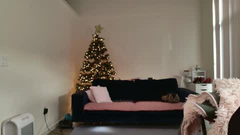 Snapshot of ms_mochii chatting on February 12, 2026, 4:13 pm R o r i SnapChat heyroriv2 wednesday - sunday Noon oclock mountain - 5pm mountain online show from February 12, 2026, 4:13 pm