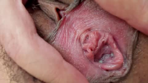 Snapshot of ms_pickless chatting on January 26, 2025, 3:14 pm Annabelle online show from January 26, 2025, 3:14 pm