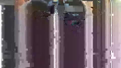 Snapshot of nastyyyyydoo chatting on December 16, 2025, 8:41 am nastyyyyydoo online show from December 16, 2025, 8:41 am