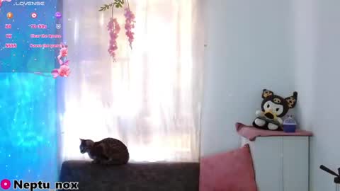 Neptu noxx online show from January 31, 2025, 9:48 pm