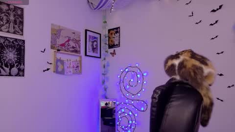 Snapshot of neurotic_witch chatting on February 3, 2026, 5:38 am Mar online show from February 3, 2026, 5:38 am