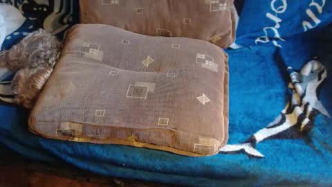 Snapshot of new_milf chatting on February 17, 2026, 7:38 am Lilly online show from February 17, 2026, 7:38 am