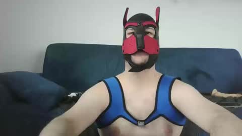 noapratzfr online show from March 11, 2025, 12:39 pm