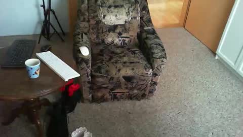 Snapshot of nyloniasau chatting on November 29, 2025, 9:01 am Strumpfhose online show from November 29, 2025, 9:01 am