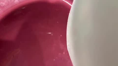 Snapshot of oconner701 chatting on November 6, 2025, 5:30 am oconner701 online show from November 6, 2025, 5:30 am