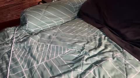 ohyea online show from March 6, 2026, 2:41 am