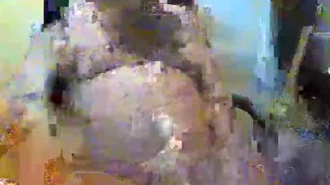 William online show from November 2, 2025, 5:26 pm