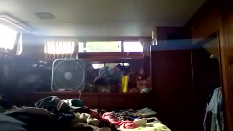 Pavone splash online show from January 9, 2026, 8:21 pm