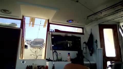 Pavone splash online show from January 10, 2026, 3:58 pm