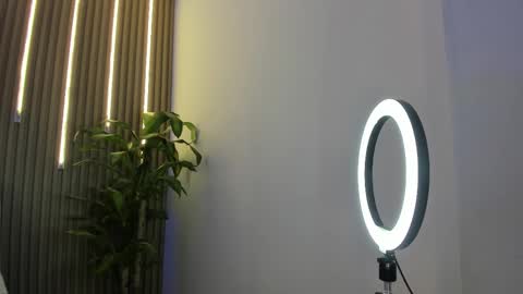 Snapshot of perlaa7 chatting on February 3, 2026, 1:59 am Perla online show from February 3, 2026, 1:59 am