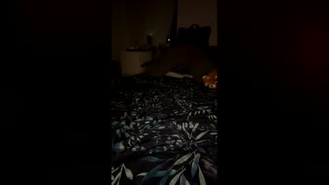 Snapshot of petitecurves279659 chatting on February 12, 2026, 11:33 pm PetiteCurves online show from February 12, 2026, 11:33 pm