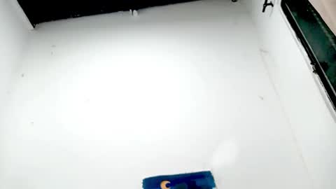 Snapshot of petiteivoryqueen chatting on November 26, 2025, 4:57 am danna online show from November 26, 2025, 4:57 am