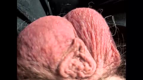 petrol63102 online show from February 22, 2026, 1:09 pm