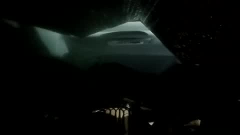 phillipdee online show from November 26, 2025, 9:21 am