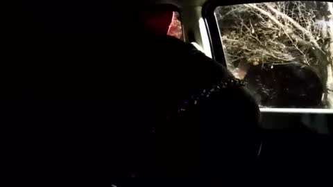 phillipdee online show from February 1, 2026, 10:03 am