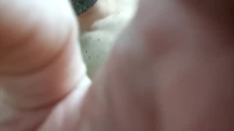 piacere39 online show from December 9, 2024, 9:16 pm