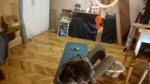 Snapshot of pisces922 chatting on December 20, 2025, 12:56 pm Dominik online show from December 20, 2025, 12:56 pm