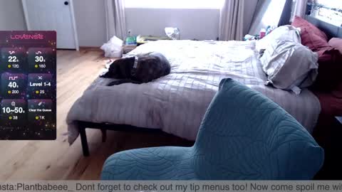 Plantbabeee online show from February 26, 2025, 6:00 pm