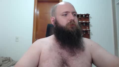 Bear online show from February 16, 2025, 2:09 am