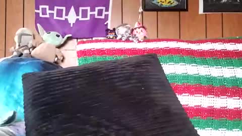 prettysolidd7 online show from January 4, 2025, 2:35 pm