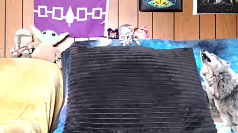 prettysolidd7 online show from January 5, 2025, 2:52 pm