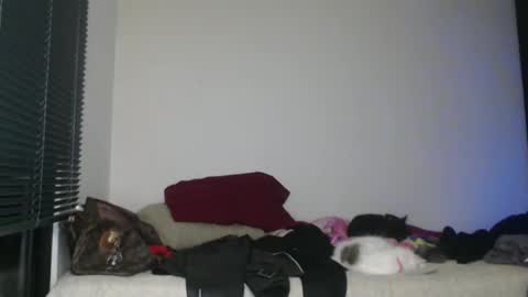 Snapshot of queennicky88 chatting on January 2, 2025, 3:15 am Nico online show from January 2, 2025, 3:15 am