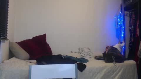 Snapshot of queennicky88 chatting on January 5, 2025, 12:52 am Nico online show from January 5, 2025, 12:52 am