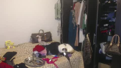 Snapshot of queennicky88 chatting on February 13, 2025, 4:00 am Nico online show from February 13, 2025, 4:00 am