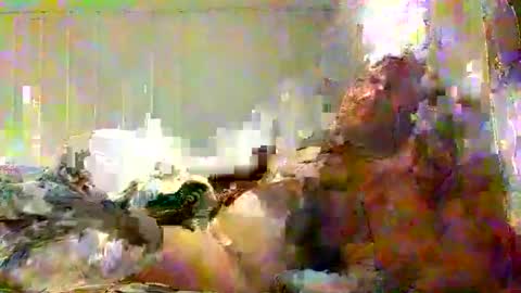 real_viking1 online show from February 7, 2026, 5:49 pm