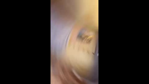 Snapshot of richtarus chatting on February 15, 2026, 10:50 pm Gunman online show from February 15, 2026, 10:50 pm