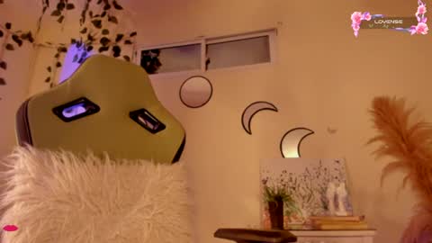 Independent model online show from December 17, 2024, 9:07 am