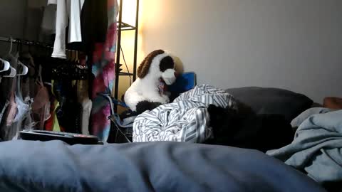 Snapshot of riversaint chatting on March 11, 2025, 11:04 pm River Saint online show from March 11, 2025, 11:04 pm