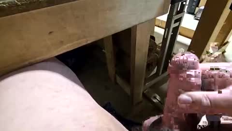 Snapshot of robbiebob6828 chatting on January 14, 2026, 11:31 pm robbiebob6828 online show from January 14, 2026, 11:31 pm