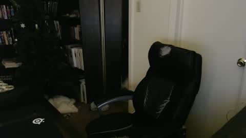 Snapshot of rockydanger chatting on February 16, 2026, 5:42 pm rockydanger online show from February 16, 2026, 5:42 pm