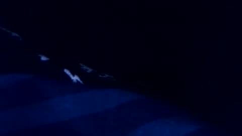 Snapshot of romain954 chatting on March 3, 2026, 8:48 pm romain online show from March 3, 2026, 8:48 pm