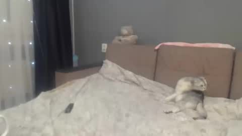 sandra_smith3007 online show from February 6, 2026, 7:06 pm