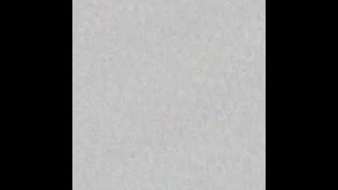 Snapshot of scalertt__steel_ chatting on March 1, 2026, 2:19 pm Venus online show from March 1, 2026, 2:19 pm