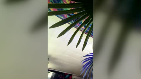 seanplushouse online show from February 28, 2026, 7:48 pm