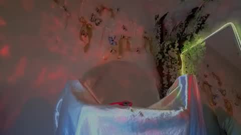 Snapshot of seductive_flower chatting on February 10, 2026, 9:57 am Mali online show from February 10, 2026, 9:57 am