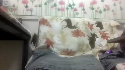 Snapshot of sexy_white_daddy chatting on February 4, 2026, 12:00 pm Daddy online show from February 4, 2026, 12:00 pm